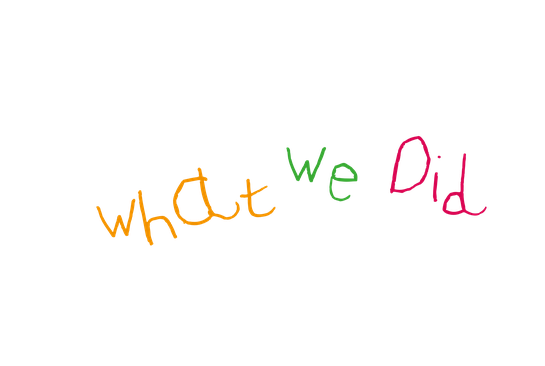 What We Did 2